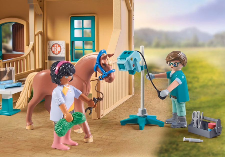 Riding Therapy and Veterinary Practice
