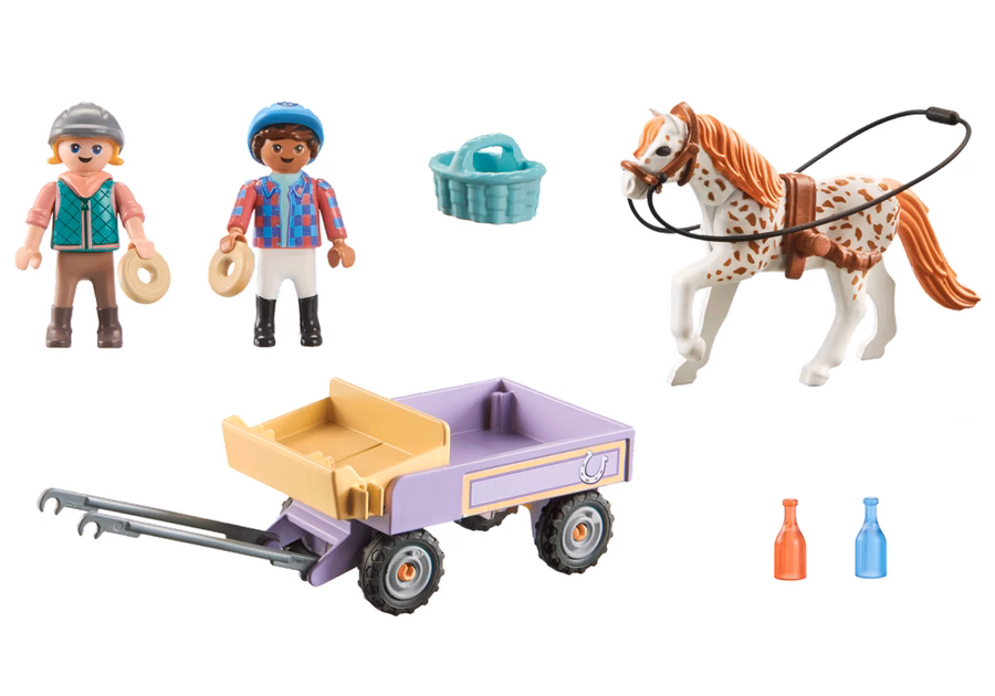 Pony carriage