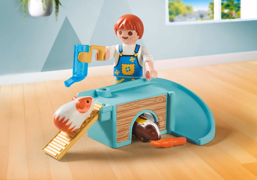 Guinea Pig House
