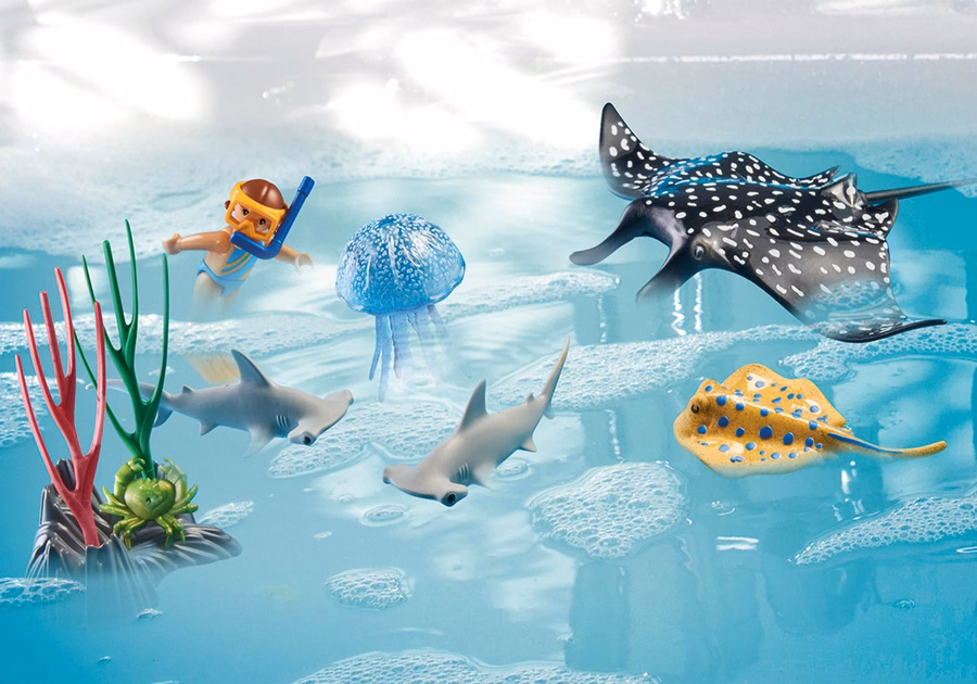 Coral Reef examination